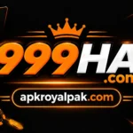 999HA Game