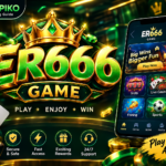 ER666 Game